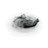IMG_7596.gif
